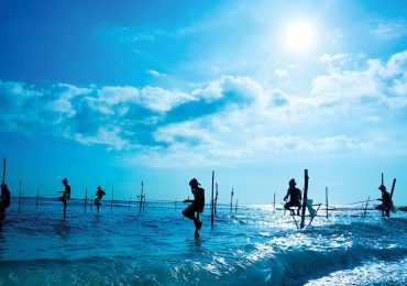 mirissa-travel-sri-lanka